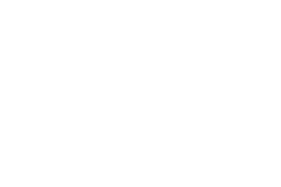 Solvio logo white